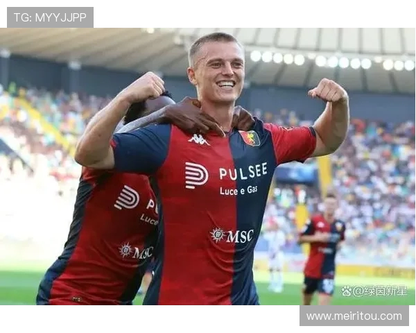 冰岛足球员在英超的体育竞技贡献及案例